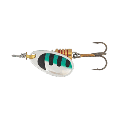 Saja Spinners - Image 2