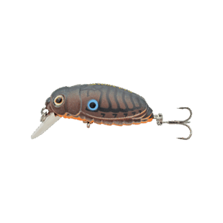 Strike Pro Bass Beetle