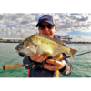Avid Series Panfish Rods - Image 8