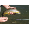 Mojo Trout Fly Rods - Image 6